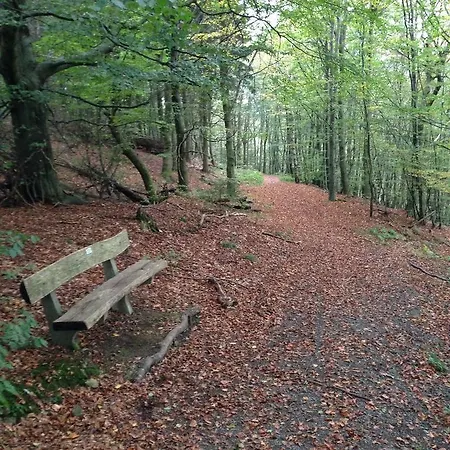 Wolfsbau Ferienwohnung Langelsheim